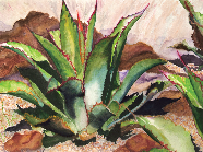 See the Vibrant Watercolors of Lois Mitchell on Display at the Tualatin Public Library