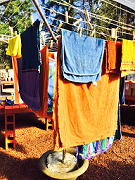 Growing laundry in the garden