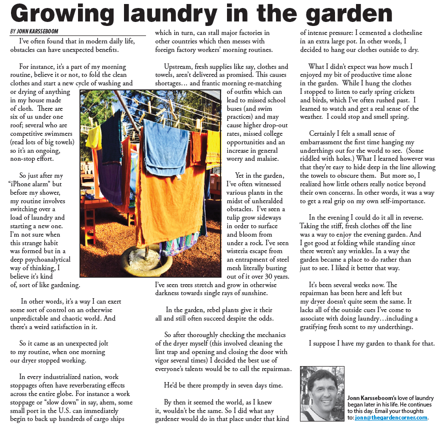 Growing laundry in the garden