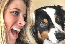 HVAC Systems and Your Pets