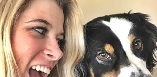 HVAC Systems and Your Pets