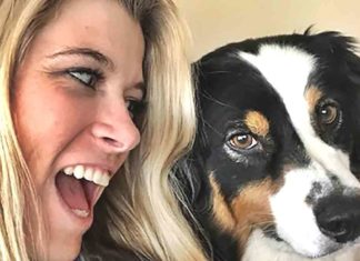 HVAC Systems and Your Pets