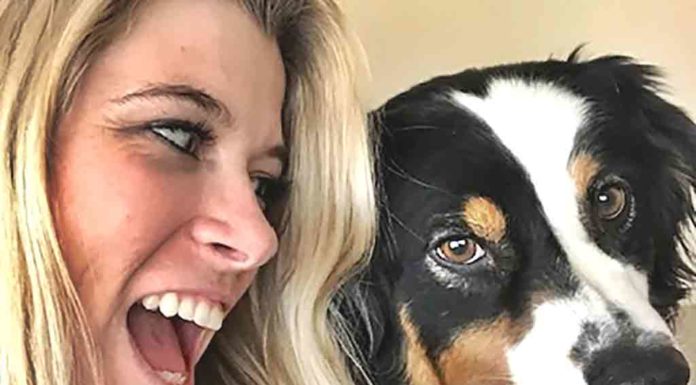 HVAC Systems and Your Pets