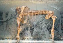 Tualatin: On the Trail of Ice Age Floods