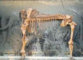 Tualatin: On the Trail of Ice Age Floods