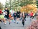 Regatta Run celebrates 10th year with record numbers