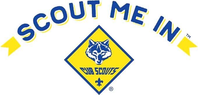 Cub Scout Collection
