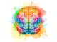 Protect Your Brain for Today, Tomorrow… and Yesterday Brain, Protection