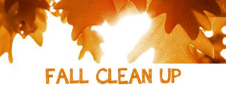 Goodbye, Yard Debris!