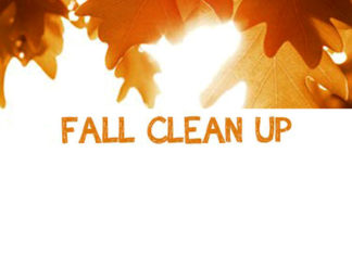 Goodbye, Yard Debris!