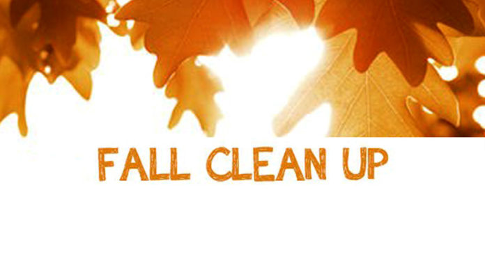 Goodbye, Yard Debris!