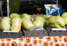 Pacific Giant Vegetable Growers’ Terminator Weigh-Off