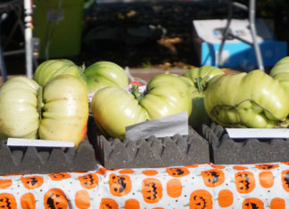 Pacific Giant Vegetable Growers’ Terminator Weigh-Off