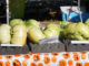 Pacific Giant Vegetable Growers’ Terminator Weigh-Off