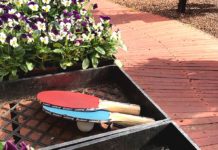 The Garden Path Not Traveled The Garden Corner,