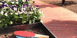 The Garden Path Not Traveled The Garden Corner,