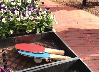 The Garden Path Not Traveled The Garden Corner,