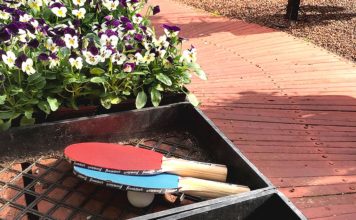 The Garden Path Not Traveled The Garden Corner,