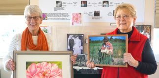 Robbins Rose, Lafky Iris – Tualatin’s Flowers Tualatin's Flowers