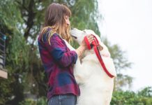 Oregon Dog Rescue Gives Pups a Second Chance Oregon Dog Rescue, Dogs