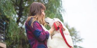 Oregon Dog Rescue Gives Pups a Second Chance Oregon Dog Rescue, Dogs