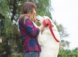 Oregon Dog Rescue Gives Pups a Second Chance Oregon Dog Rescue, Dogs