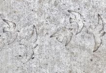 Community Art Installed on Sagert Street Sidewalk Community Art, Tualatin Moving Forward, Sagert Street