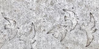 Community Art Installed on Sagert Street Sidewalk Community Art, Tualatin Moving Forward, Sagert Street