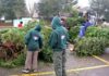 Tualatin Scouts BSA Christmas Tree Recycling 2019 Tualatin Scouts, Holiday Season, Christmas Tree