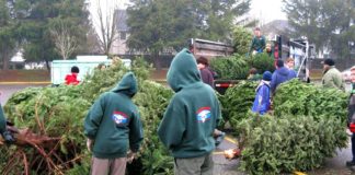 Tualatin Scouts BSA Christmas Tree Recycling 2019 Tualatin Scouts, Holiday Season, Christmas Tree