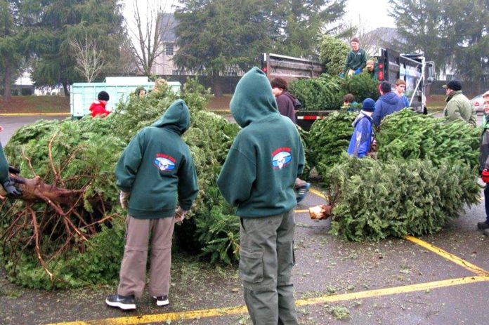 Tualatin Scouts, Holiday Season, Christmas Tree