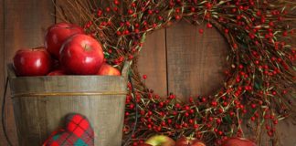 5 Winter Wellness Tips to Thrive this Holiday Season 5 Winter Wellness Tips to Thrive this Holiday Season