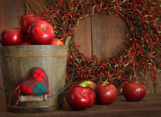 5 Winter Wellness Tips to Thrive this Holiday Season 5 Winter Wellness Tips to Thrive this Holiday Season