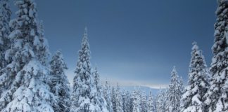 Tualatin CIO: President’s Report – Tualatin Ready Community Involvement Organization