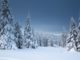 Pipes are no place for Jack Frost! Community Involvement Organization