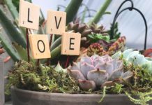 What’s Love Got to Do With it?