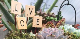 What’s Love Got to Do With it?