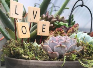 What’s Love Got to Do With it?