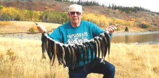 Veteran’s Corner: Norm Parker