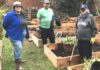 Improve your Gardening Skills while Contributing to Community