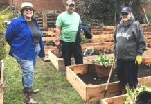 Improve your Gardening Skills while Contributing to Community