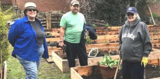 Improve your Gardening Skills while Contributing to Community