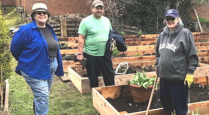 Improve your Gardening Skills while Contributing to Community