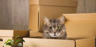 Moving Houses with Pets