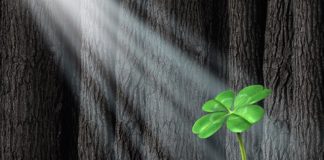 We Will Pull Through Together