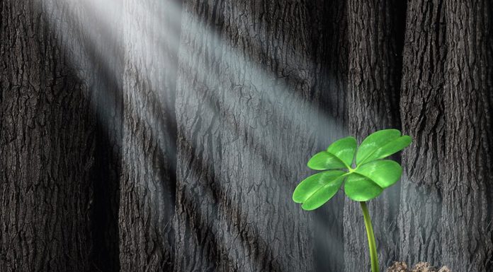 We Will Pull Through Together