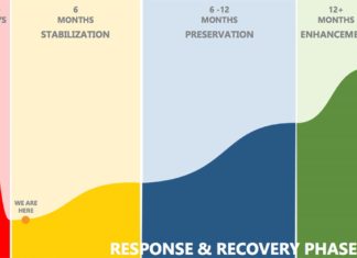 Council Hears Outline for Economic Recovery