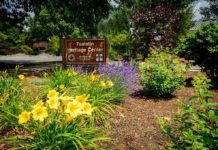 Historical Society Seeks Expertise To Preserve Heritage Plants Outside of the Tualatin Heritage Center. Photos courtesy of Al Stewart Photography.