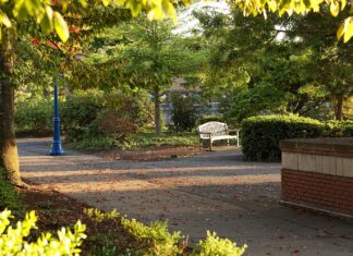 Tualatin Veterans Memorial Gains Momentum