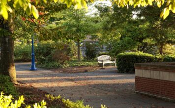 Tualatin Veterans Memorial Gains Momentum